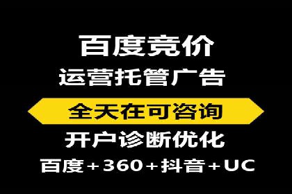 案例分析：百度竞价托管的成功因素有哪些？